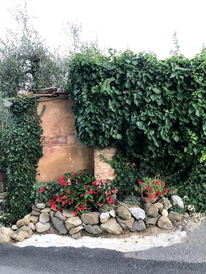 Appartamento Stella: nel cuore delle colline toscane Chianni Esterno foto